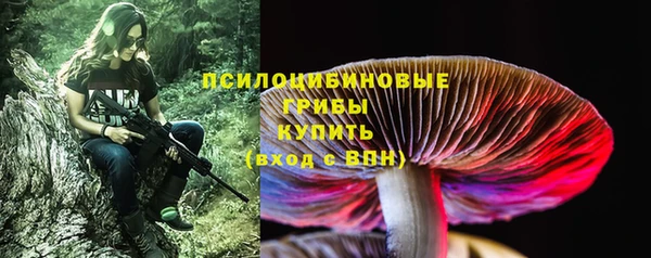 марки lsd Богородицк