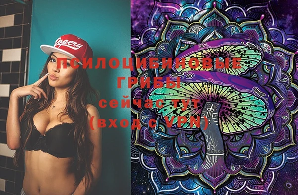 марки lsd Богородицк