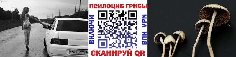 Галлюциногенные грибы прущие грибы  Ворсма 
